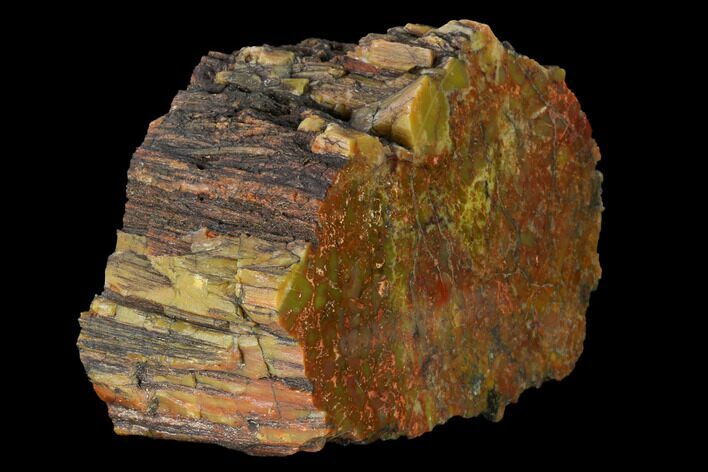 Polished Red/Yellow Petrified Wood (Araucarioxylon) - Arizona #147888